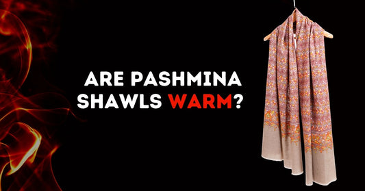 Are Pashmina Shawls Warm - Ayesha’s Collection