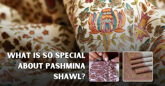 What Is So Special About Pashmina Shawl? - Ayesha’s Collection