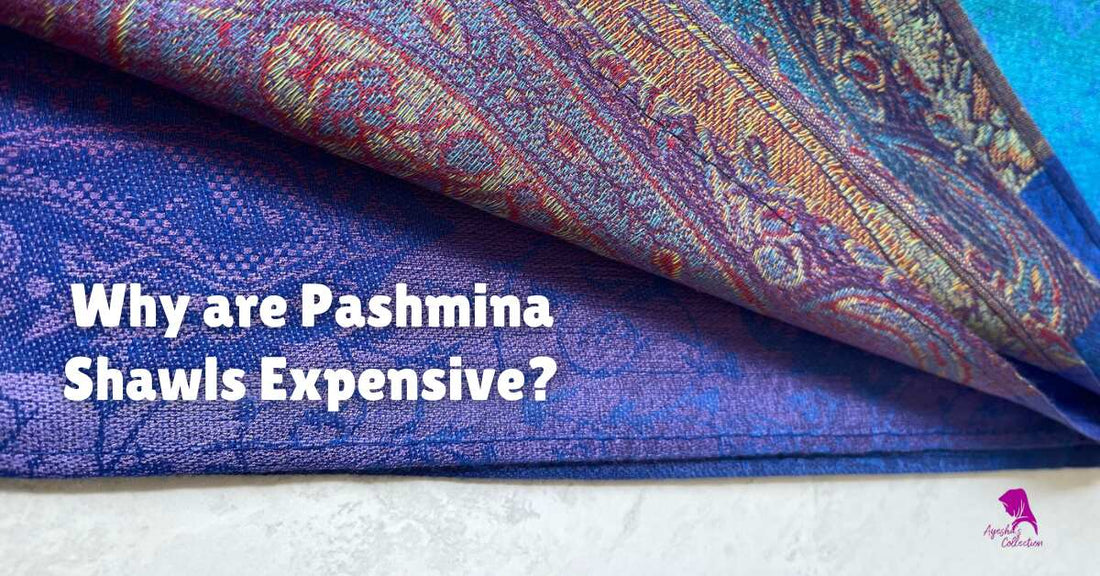 Why are Pashmina Shawls Expensive? Discover Luxurious Secrets